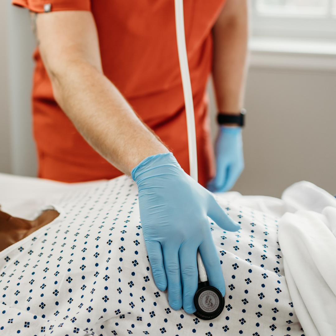 Heart Sound Solutions Signature Series Stethoscope for Nurses, Doctors, and Medical Students | Dual Head Design for Adults & Kids (Matte Black x White) - Heart Sound Solutions